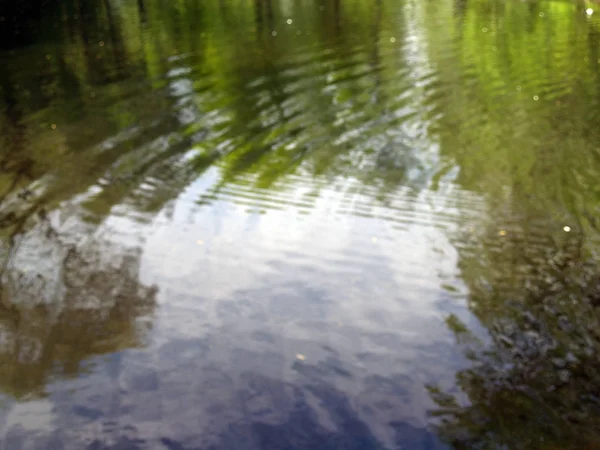 Superfície da lagoa com reflexão de árvores — Fotografia de Stock