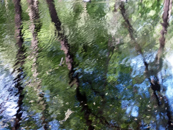 Malerische Reflexion der Bäume — Stockfoto