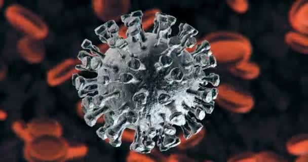 Coronavirus Close-up of virus or bacteria cells — Stock Video