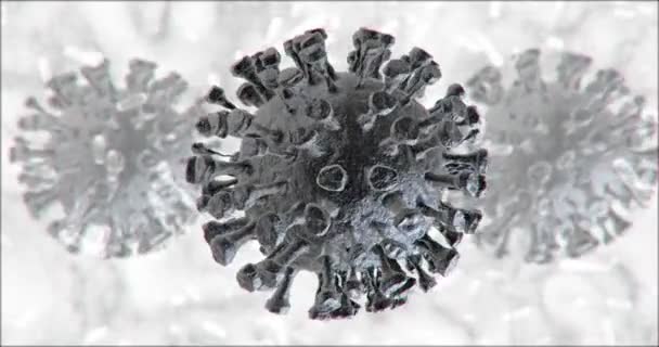 Coronavirus Close-up of virus or bacteria cells — Stock Video