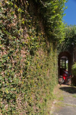 Duvarın yanına park edilmiş eski bir motosiklet..
