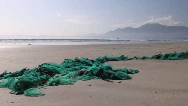 Tortue de mer capturée dans un filet de pêche, Costa Rica, Amérique centrale — Video