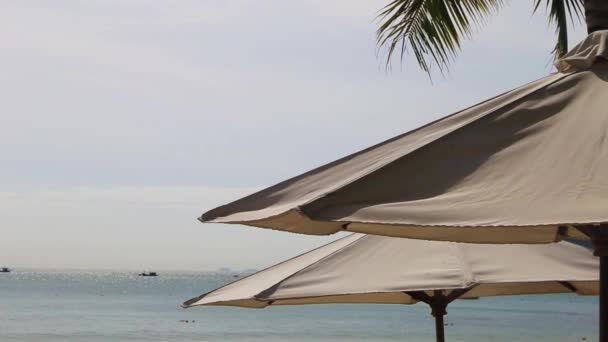 Sotto l'ombrellone sulla spiaggia durante le vacanze estive — Video Stock