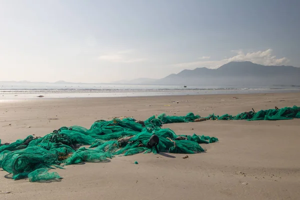 Sea turtle caught in fishing net, Costa Rica, Central America Stock Image