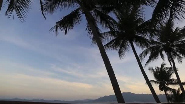 Palmeras puesta del sol cielo azul dorado retroiluminación en el Mediterráneo — Vídeo de stock