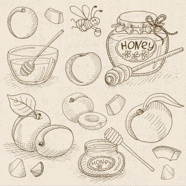 Ayarlama tebeşir yazı tahtası gıda üzerine çizilmiş baharatlar.