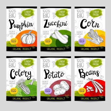 Elle çizilmiş kümesi etiketleri gıda, baharatlar.