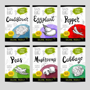 Elle çizilmiş kümesi etiketleri gıda, baharatlar.