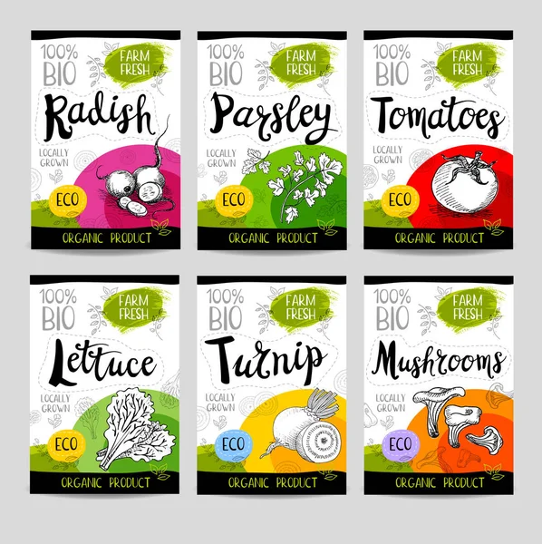 Elle çizilmiş kümesi etiketleri gıda, baharatlar.