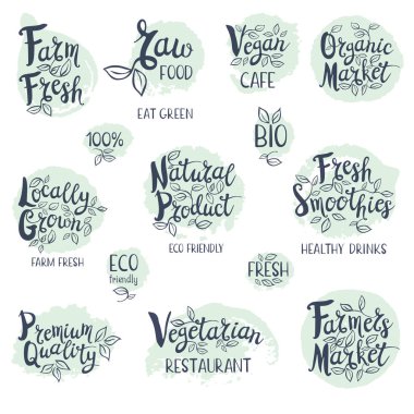 Elle çizilmiş kümesi etiketleri gıda, baharatlar.