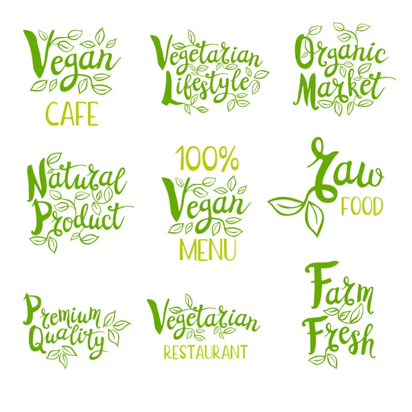 Set de etiquetas dibujadas a mano alimentos, especias . — Vector de stock