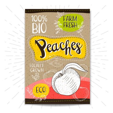 Elle çizilmiş kümesi etiketleri gıda, baharatlar.