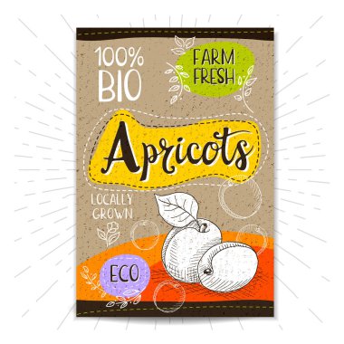 Elle çizilmiş kümesi etiketleri gıda, baharatlar.