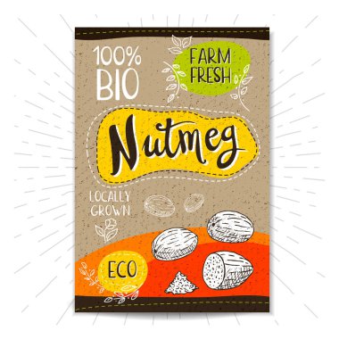 Elle çizilmiş kümesi etiketleri gıda, baharatlar.