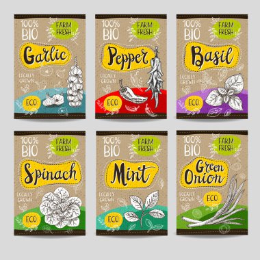 Elle çizilmiş kümesi etiketleri gıda, baharatlar.