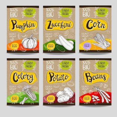 Elle çizilmiş kümesi etiketleri gıda, baharatlar.