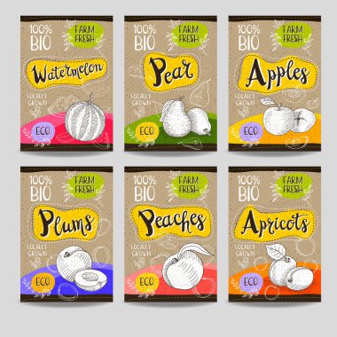 Elle çizilmiş kümesi etiketleri gıda, baharatlar.