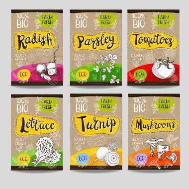 Elle çizilmiş kümesi etiketleri gıda, baharatlar.