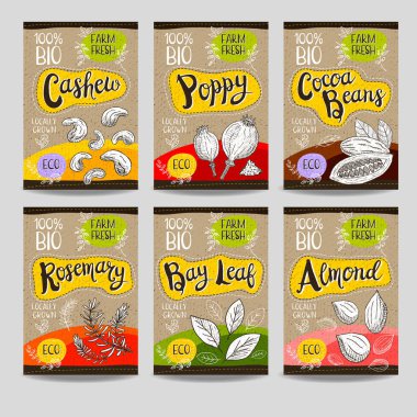 Elle çizilmiş kümesi etiketleri gıda, baharatlar.