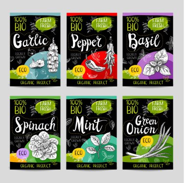 Elle çizilmiş kümesi etiketleri gıda, baharatlar.