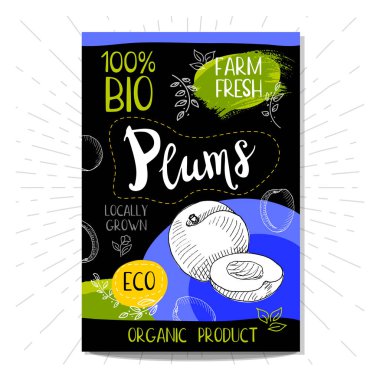 Elle çizilmiş kümesi etiketleri gıda, baharatlar.