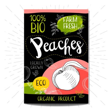 Elle çizilmiş kümesi etiketleri gıda, baharatlar.