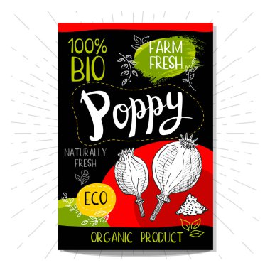 Elle çizilmiş kümesi etiketleri gıda, baharatlar.