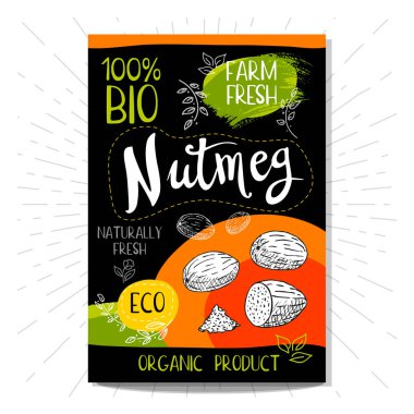 Elle çizilmiş kümesi etiketleri gıda, baharatlar.