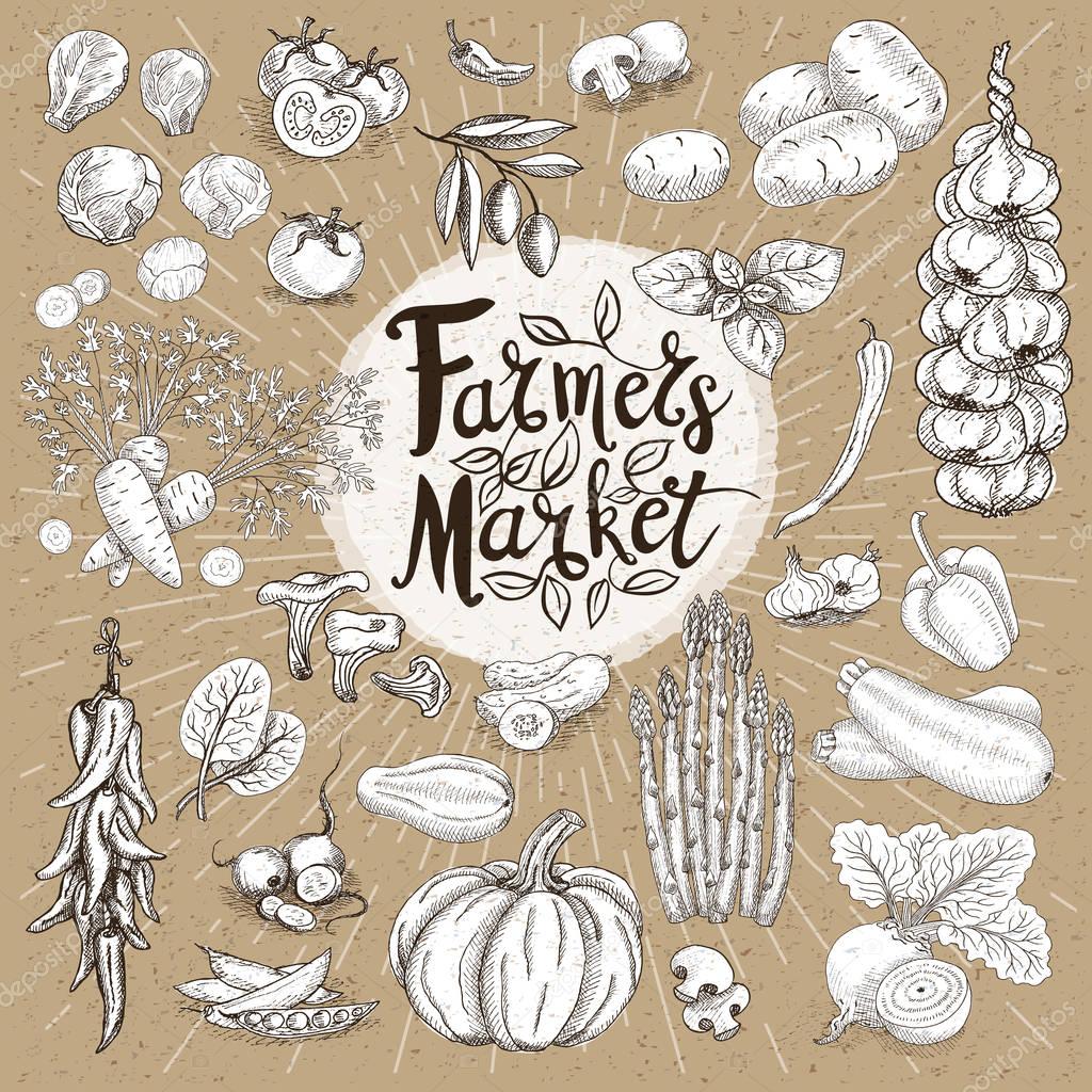 Set design template food, spice, sketch style, cardboard. Vegetables. Farmer market. Lettering, calligraphy logo. Hand drawn vector illustration