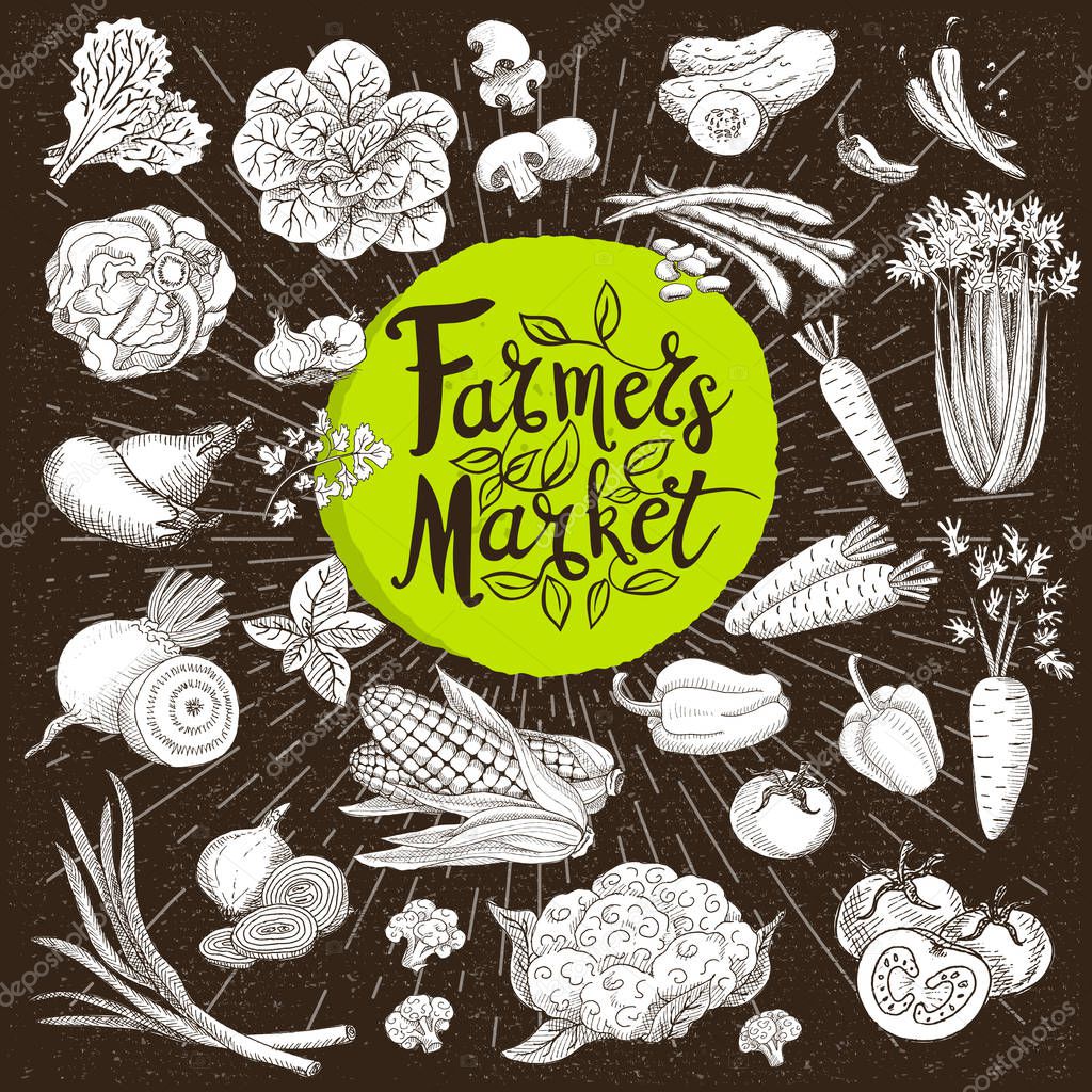 Set design template food, spice, sketch style, cardboard. Vegetables. Farmer market. Lettering, calligraphy logo. Hand drawn vector illustration