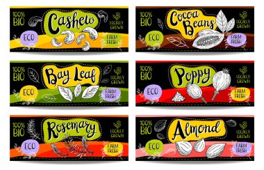 Elle çizilmiş kümesi etiketleri gıda, baharatlar.