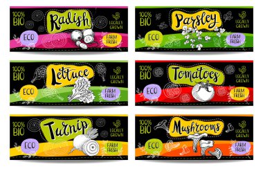 Elle çizilmiş kümesi etiketleri gıda, baharatlar.