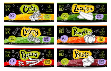 Elle çizilmiş kümesi etiketleri gıda, baharatlar.