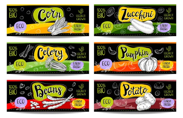 Elle çizilmiş kümesi etiketleri gıda, baharatlar.