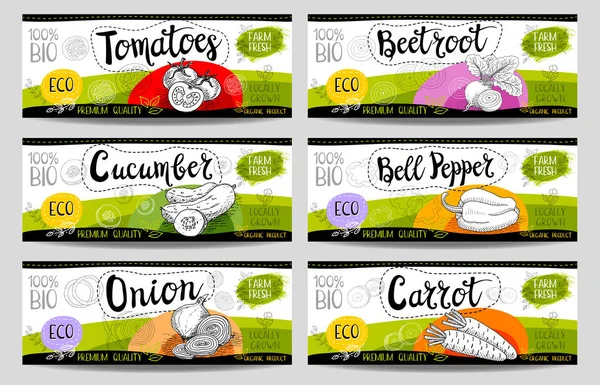 Elle çizilmiş kümesi etiketleri gıda, baharatlar.