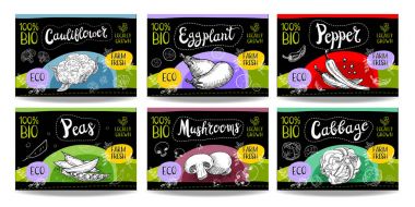 Elle çizilmiş gıda etiketleri ayarla, baharat etiketleri, meyve etiketleri, Mey