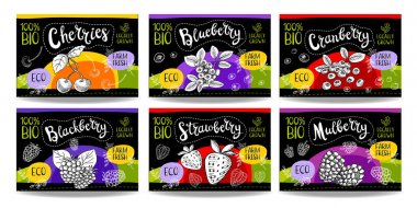 Elle çizilmiş gıda etiketleri ayarla, baharat etiketleri, meyve etiketleri, Mey