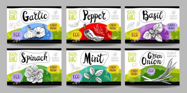 Elle çizilmiş gıda etiketleri ayarla, baharat etiketleri, meyve etiketleri, Mey