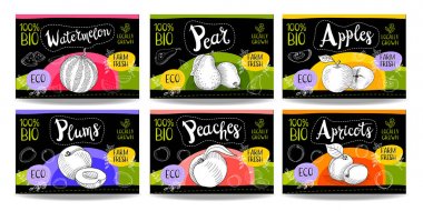 Elle çizilmiş gıda etiketleri ayarla, baharat etiketleri, meyve etiketleri, Mey