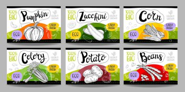 Elle çizilmiş gıda etiketleri ayarla, baharat etiketleri, meyve etiketleri, Mey