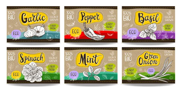Set of hand drawn food labels, spices labels, fruit labels, vege — Stock Illustration Set of hand drawn food labels, spices labels, fruit labels, vege Vector Graphics