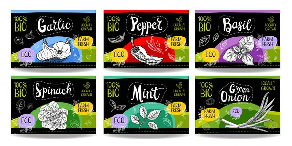 Set of hand drawn food labels, spices labels, fruit labels, vege — Stock Illustration Set of hand drawn food labels, spices labels, fruit labels, vege Royalty Free Stock Illustrations
