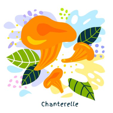 Taze mantar chanterelle sebze suyu organik yiyecekler sulu sebzeler sıçratır soyut coloful sıçrama arkaplan vektörü üzerine