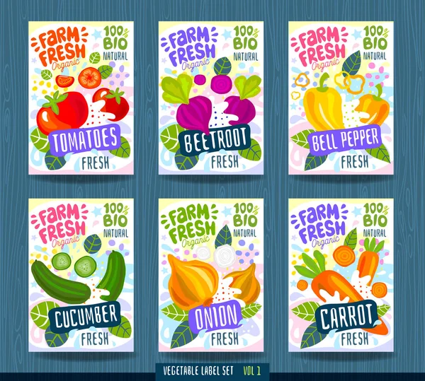 Abstraktní splash Šablona etikety potravin. Barevný tah štětcem. Zelenina, ovoce, koření, design balení. Rajčata, řepa, řepa, paprika, okurka, cibule, mrkev. — Stockový vektor