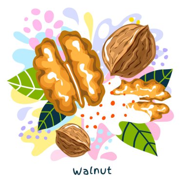 Taze ceviz suyu organik gıda çeşnisi serpintisi. Baharatlı fındık. Soyut renkli sanat serpintisi sıçrama arkaplanı. Vektör el çizimi resimleme