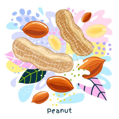 Taze fıstık suyu, organik gıda çeşnisi serpintisi serpiyor. Baharatlı fındık. Soyut renkli sanat serpintisi sıçrama arkaplanı. Vektör el çizimi resimleme