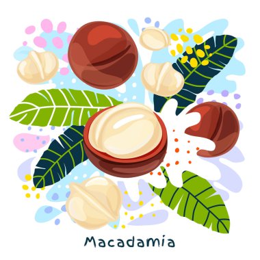 Taze Macadamia suyu organik gıda çeşnisi serpintisi serpiyor. Baharatlı fındık. Soyut renkli sanat sıçratma arkaplanı.