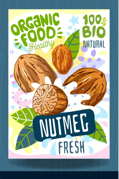 飞溅食品标签模板 色彩斑斓的笔触坚果 包装设计 Nutmeg 有机新鲜病媒图解 — 图库矢量图片