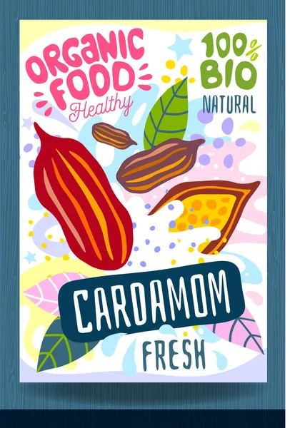 飞溅食品标签模板 色彩斑斓的笔触坚果 包装设计 Cardamom 有机新鲜病媒图解 — 图库矢量图片