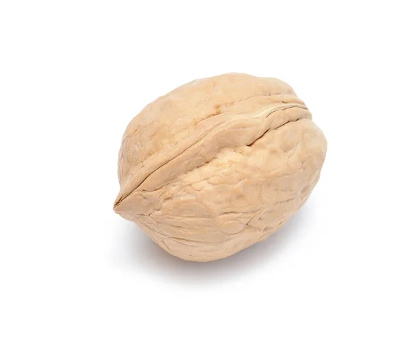 Walnut — Stock Photo, Image